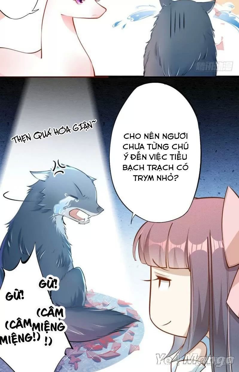 tuyệt thế luyện đan sư chapter 51 30