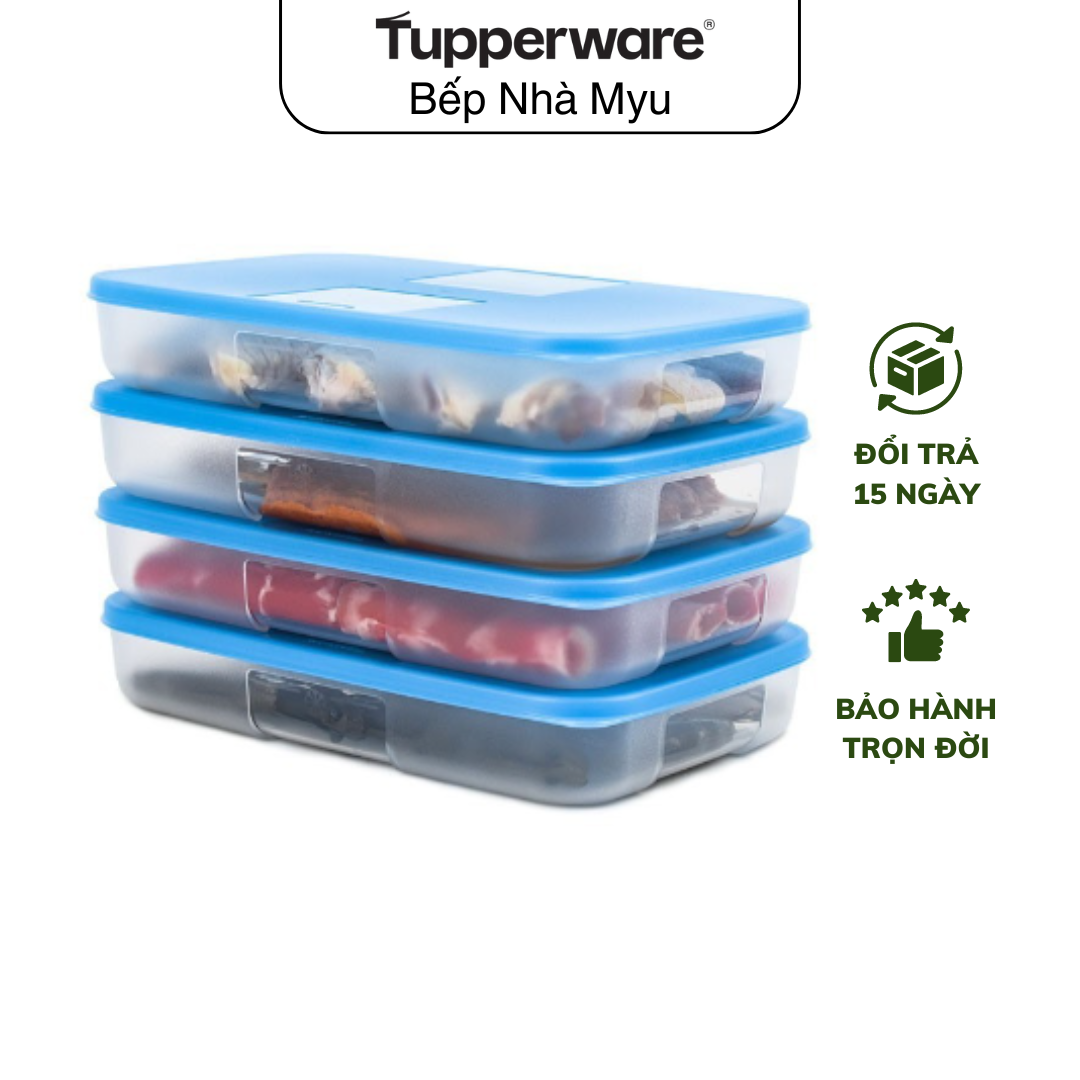 Bộ Hộp Trữ Đông Happy Set 550ml (4 Hộp) - Tupperware
