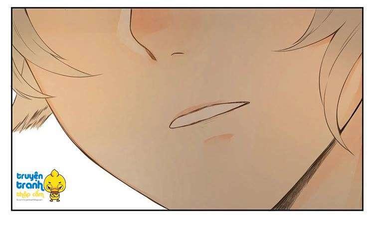 cứu mạng ! loài mèo thống trị thế giới rồi ! chapter 28 14