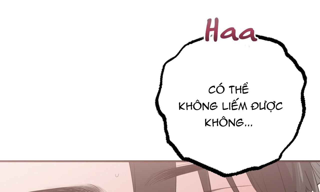 đàn thỏ của habibi chapter 38 98