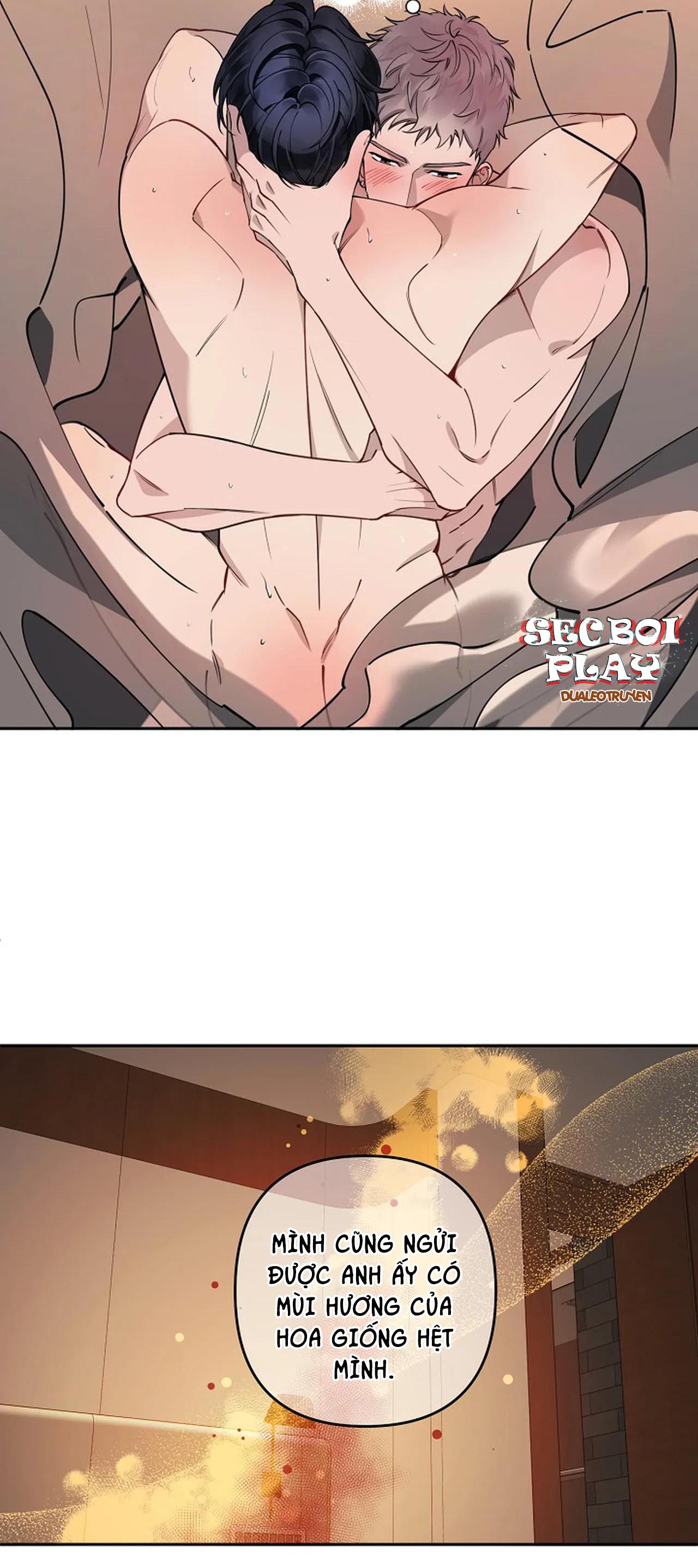 đêm dịu dàng chapter 14 24