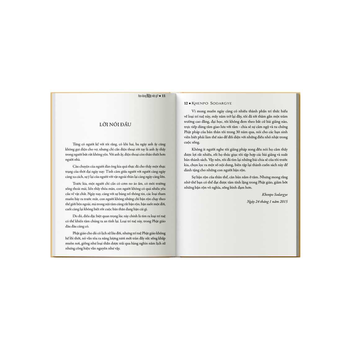 Sách Bạn Đang Bận Việc Gì - Sách Tôn Giáo, Nghệ Thuật và Văn Hóa, Tác Giả KHENPO SODARGYE - Hiệu Sách GenBooks, bìa mềm, in màu