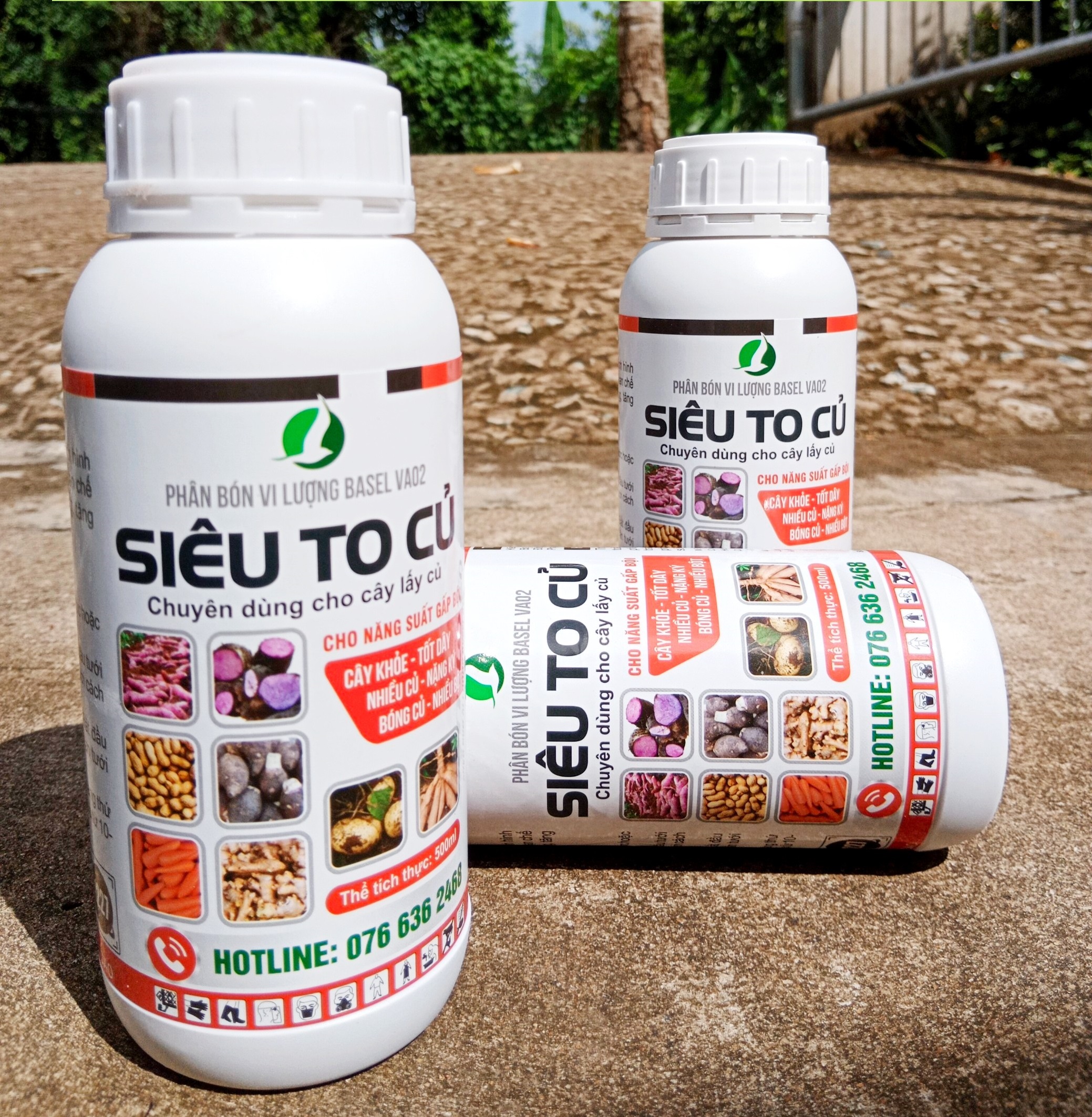 PHÂN BÓN GIÚP CỦ VÀO BỘT NHANH, TO CỦ, NẶNG KÍ, ĐỀU CỦ - DÙNG CHO KHOAI LANG, KHOAI MÌ, KHOAI MÔN. CÀ RỐT, CỦ CẢI, SẴN, ĐẬU PHỘNG,...
