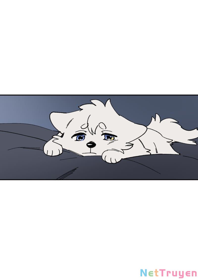 lumine - cội nguồn ánh sáng chapter 112 27