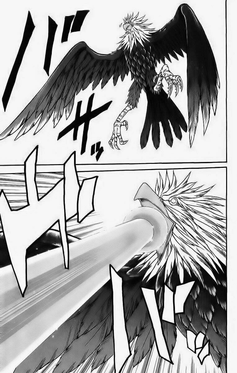 vua trên biển chapter 235 20