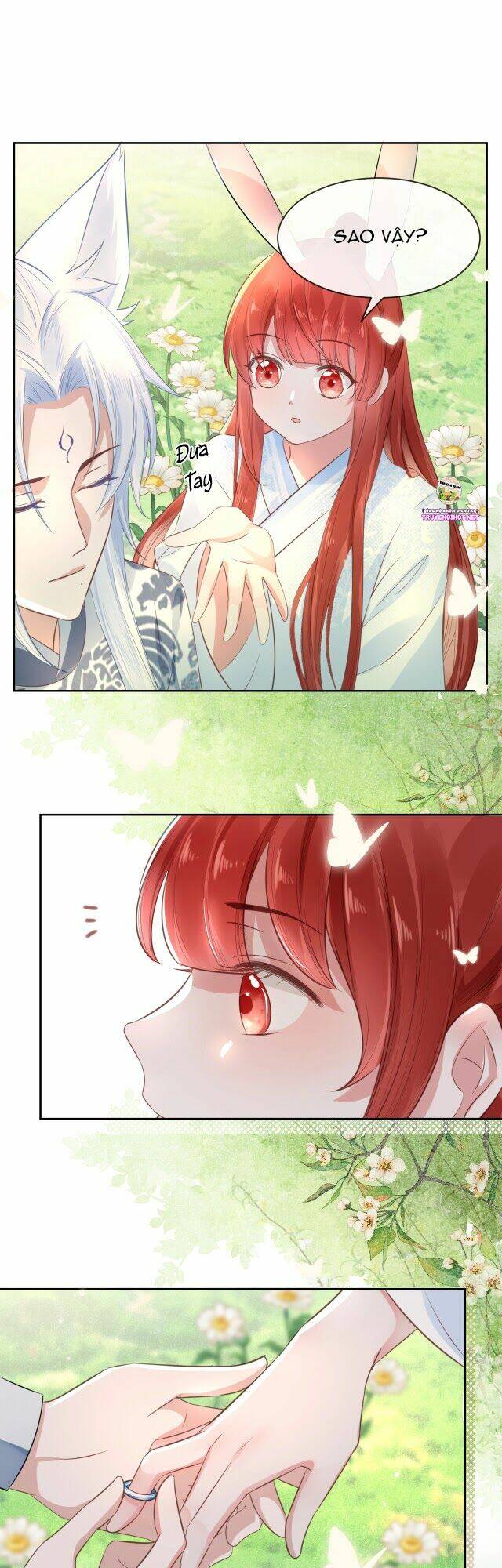 hắc hóa nam chính trực tuyến nuôi thỏ chapter 15 17