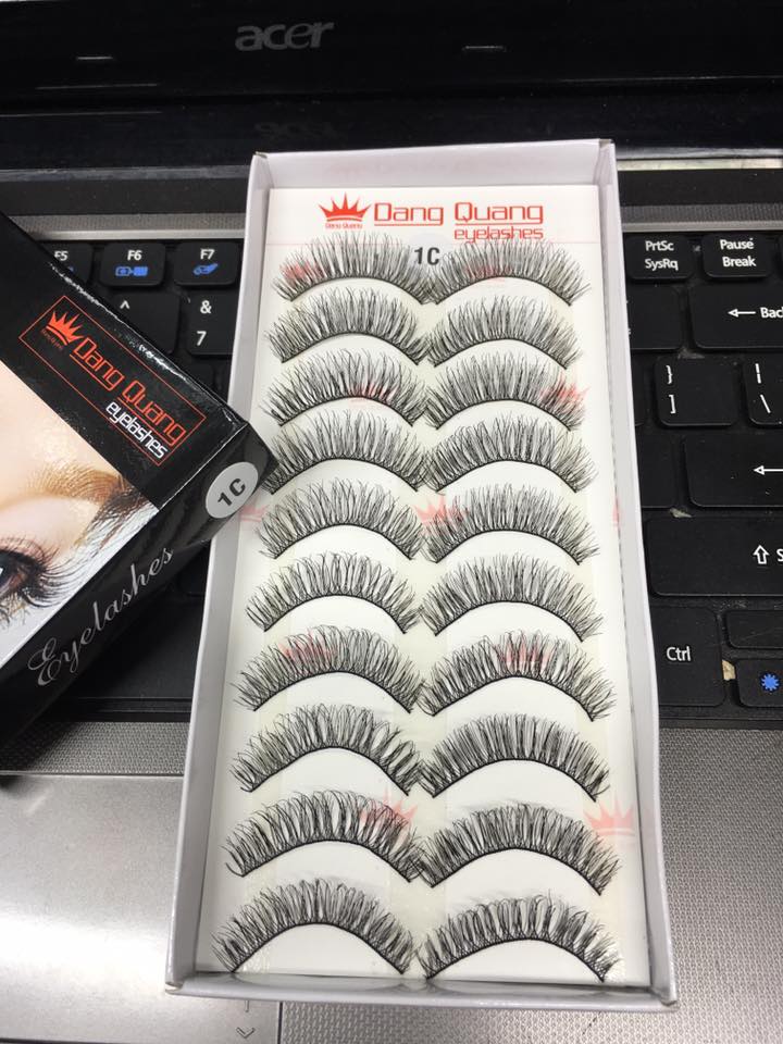 Mi giả Eyelashes Fashion Style 10 cặp (Số C9)