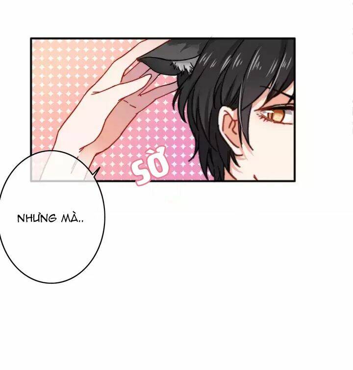 thập quang mật ngữ chapter 11.5 10