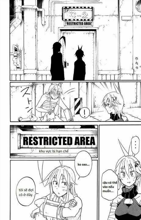 tripeace chapter 31 37