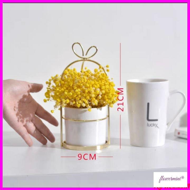 Lọ hoa baby khô 21cm để bàn trang trí phòng khách, bàn học, kệ tủ, giá sách thiết kế lồng chim mạ vàng Flowermini LC-03