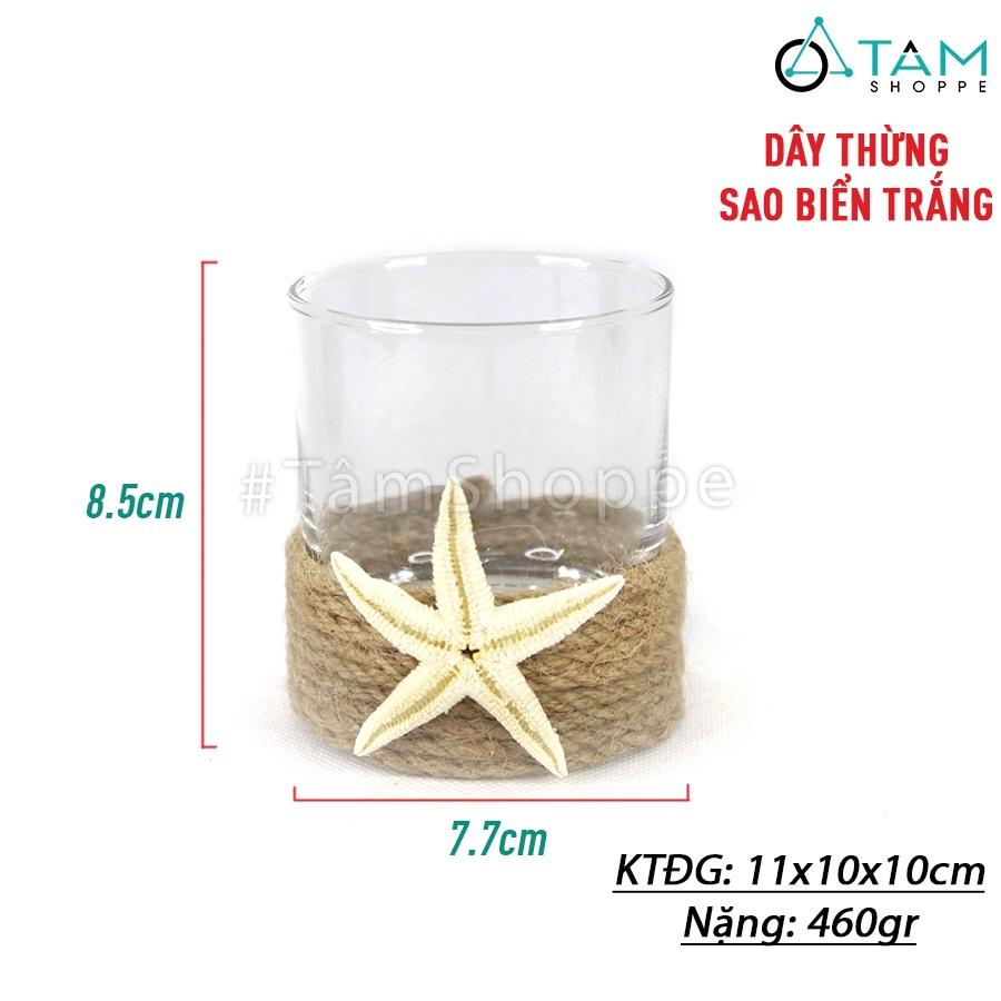 Chân nến ly thủy tinh quấn dây thừng sao sò CHN-26