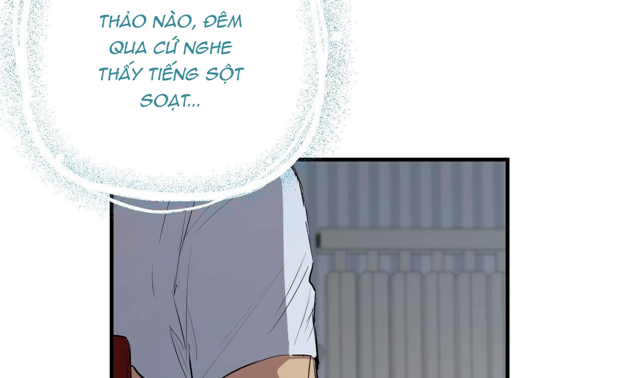 đàn thỏ của habibi chapter 39 41