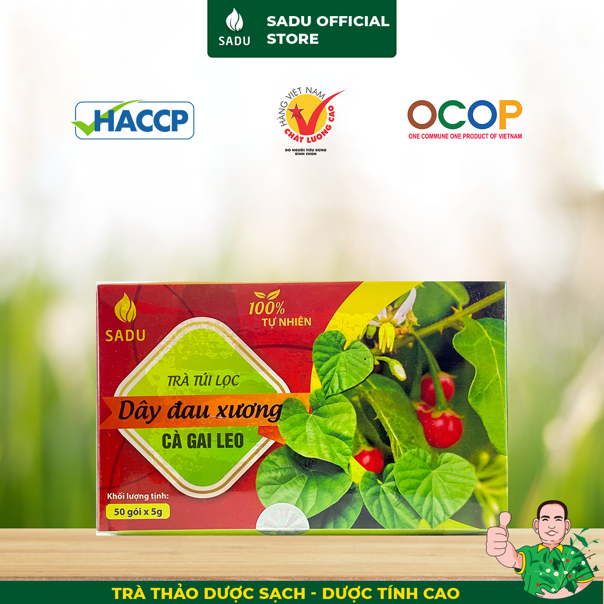 Trà túi lọc Dây Đau Xương Cà Gai Leo Sadu