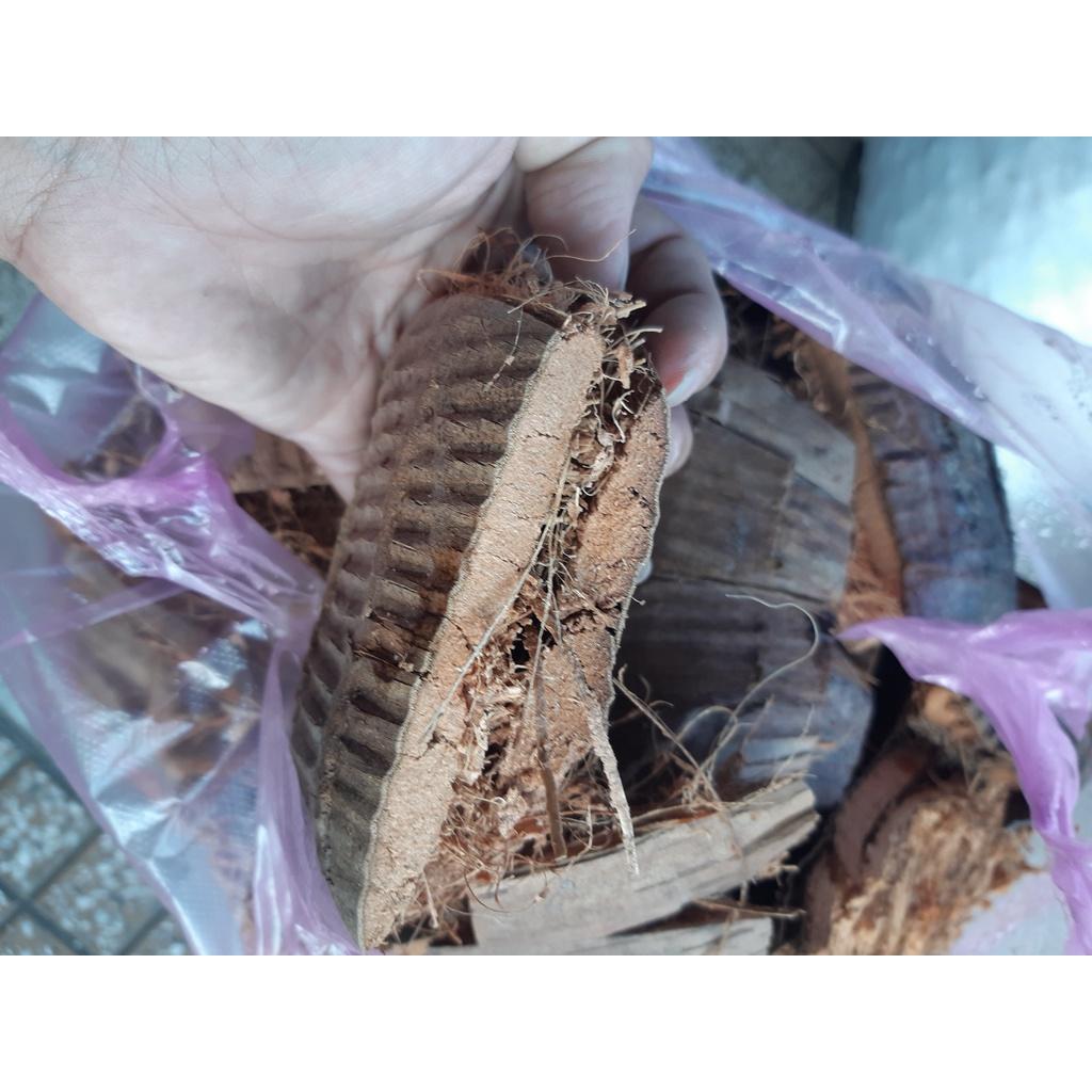 Xơ dừa đã qua xử lý, cán mềm dùng lót chậu, làm giá thể trồng lan 1kg hàng đẹp, phân phối chuyên nghiệp.