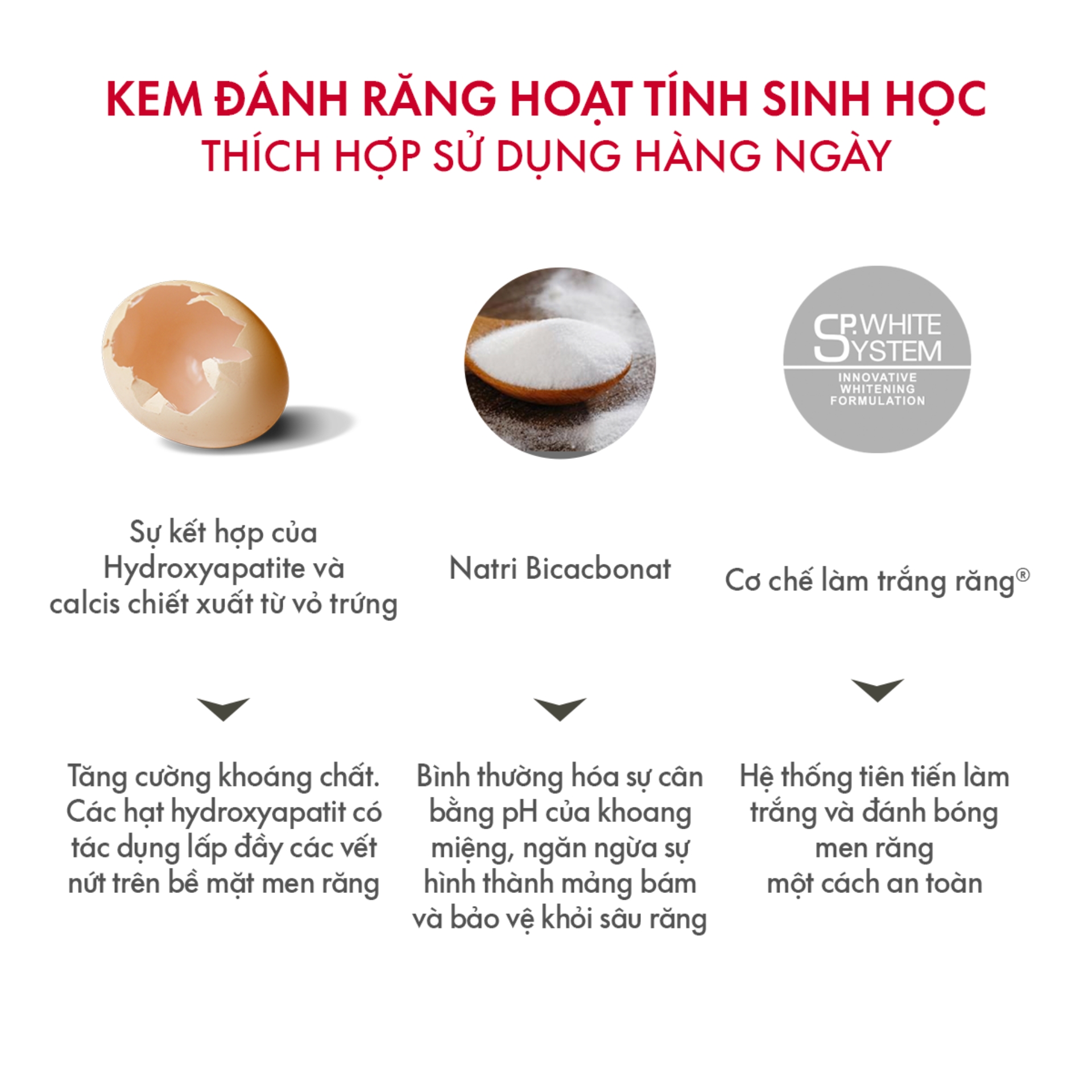 Kem Đánh Răng SPLAT Biocalcium Professional series Giúp Củng Cố Men Răng, Hạn Chế Mảng Bám Dung Tích 40ml