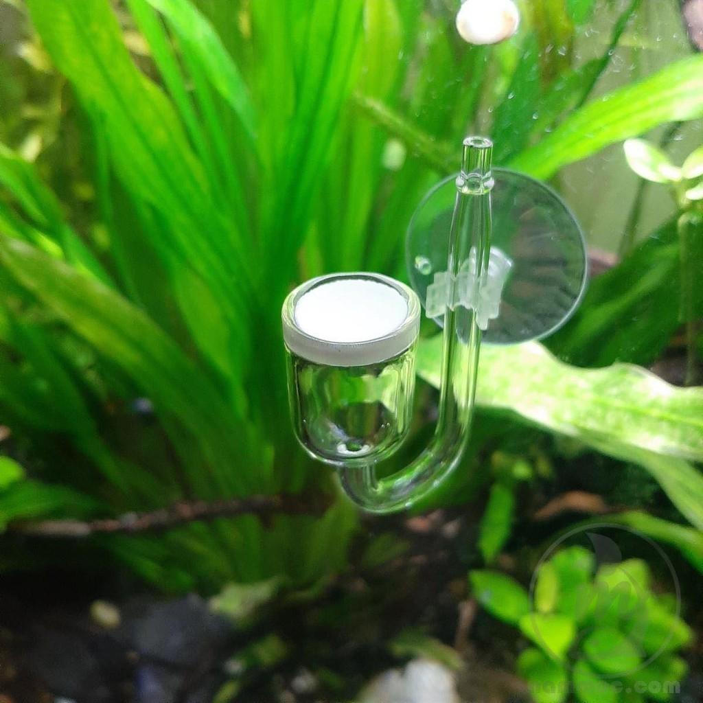 Sủi CO2 thủy tinh - full bộ - Sủi Co2 siêu mịn - Shopleo