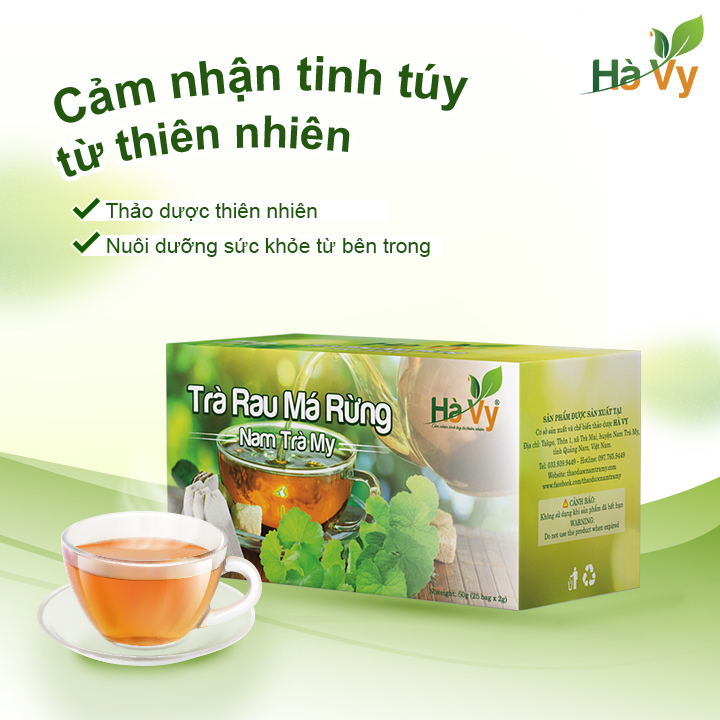 Combo Trà Rau Má Rừng, Trà Dây, Trà Khổ Qua Rừng Nam Trà My Hà Vy hỗ trợ làm đẹp da, hỗ trợ tiêu hoá hiệu quả (set 3 hộp trà túi lọc)