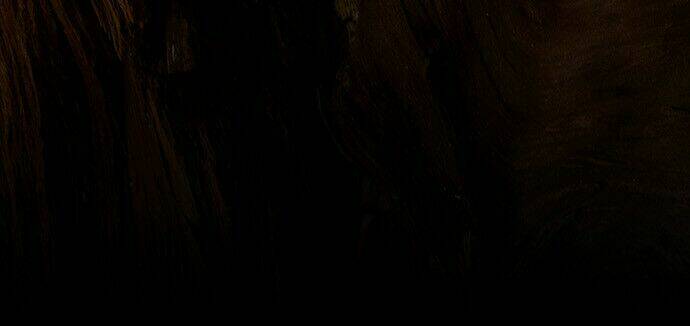 dawn of the frozen wastelands chapter 1 4