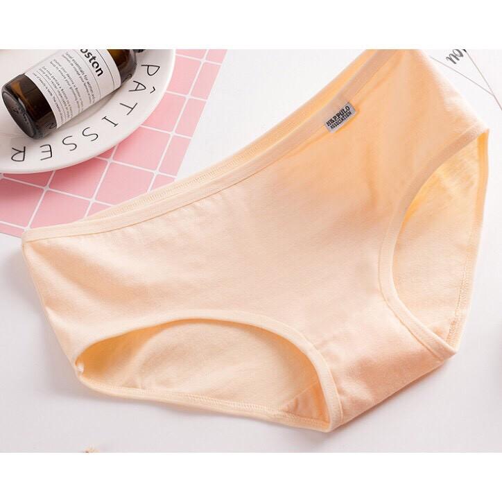 Combo 10 Quần Lót Cotton Pulo Xuất Mỹ