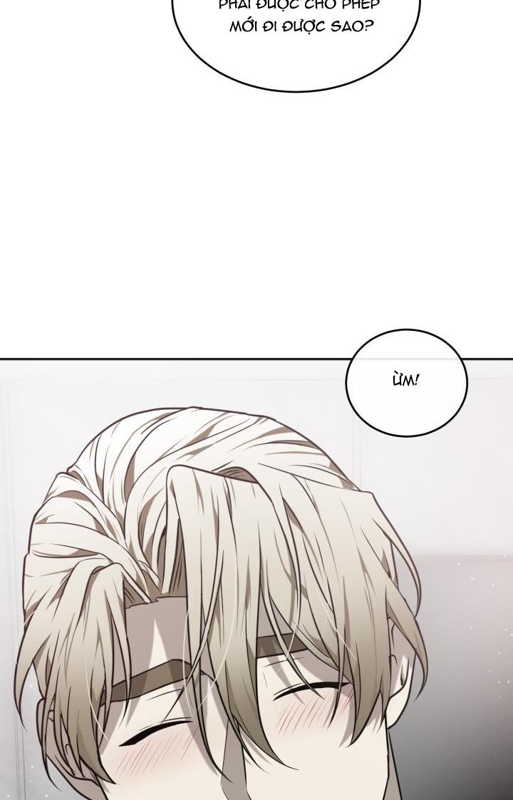 dưỡng thú cưng chapter 20 38