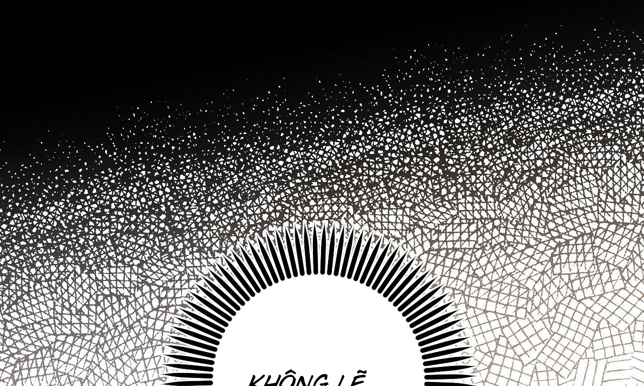 những chú thỏ của hapypy chapter 56 19