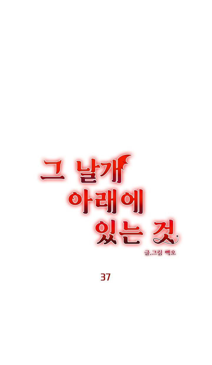 Dưới Đôi Cánh Ấy chapter 37