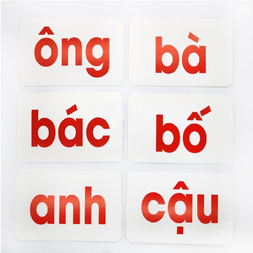 Flashcard - Combo Bộ Thẻ Cơ Bản Theo Phương Pháp Glenn Doman (Hôp 259 thẻ)