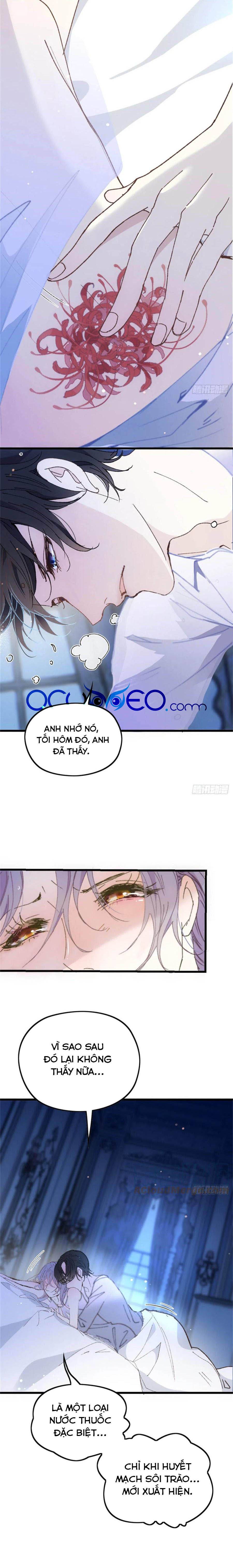 một vợ yêu, một bé con chapter 133 1