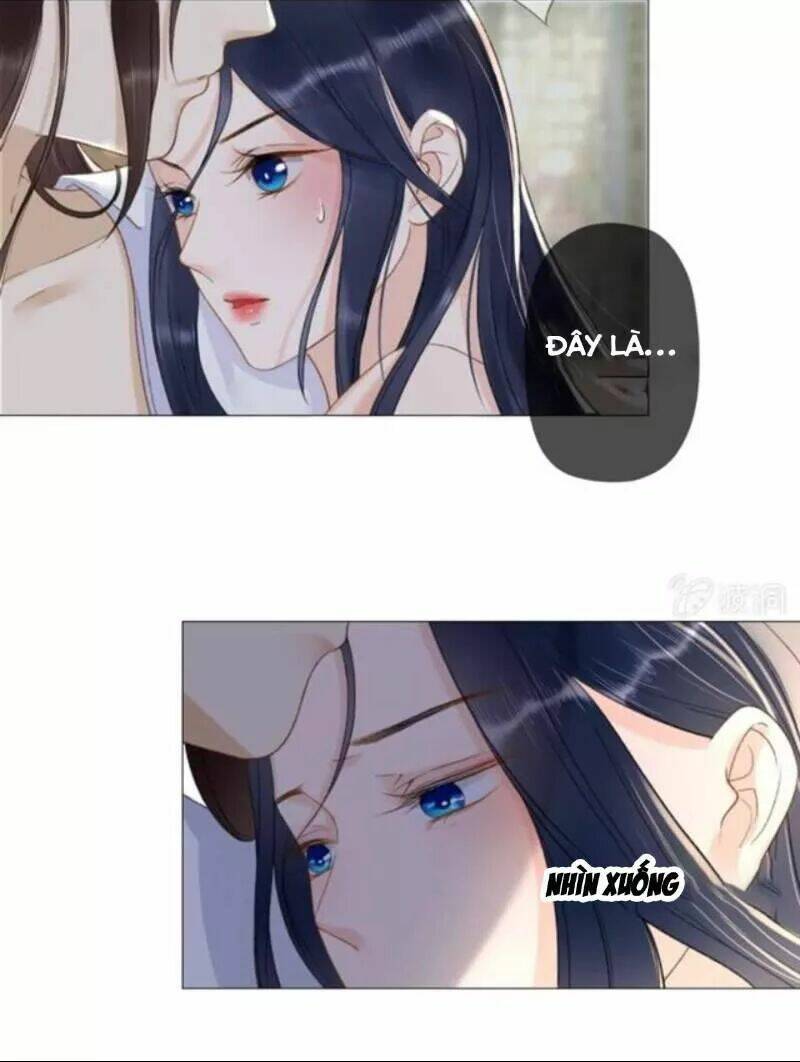 sủng phi của vương chapter 142 9