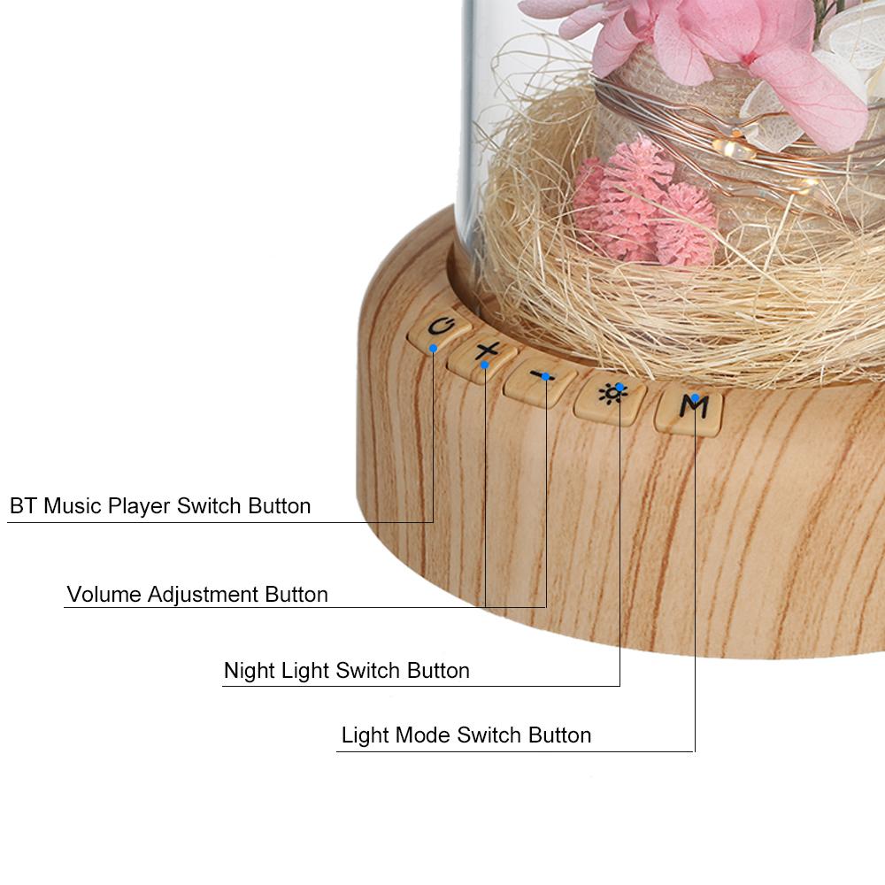 Đèn hoa thủy tinh đa chức năng kèm nhạc để trang trí trong nhà