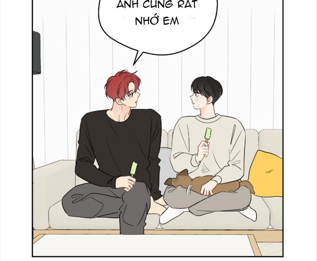 chuyện quái gì với giấc mơ đó vậy chapter 42 3