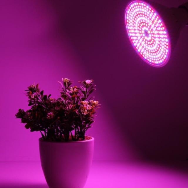 Đèn LED quang phổ toàn phần trồng cây 126 led 1 cái