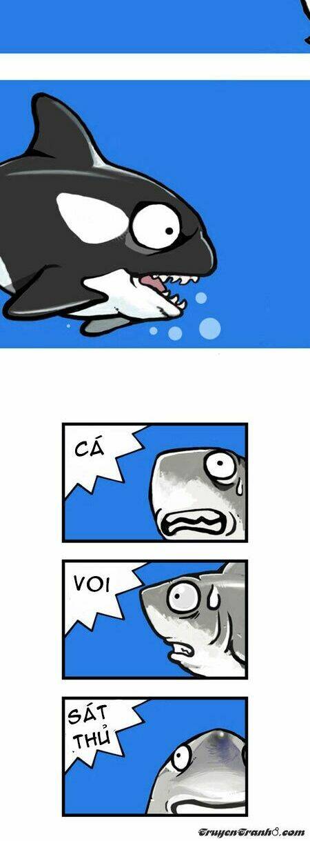 earth, human, and animal chapter 8 12