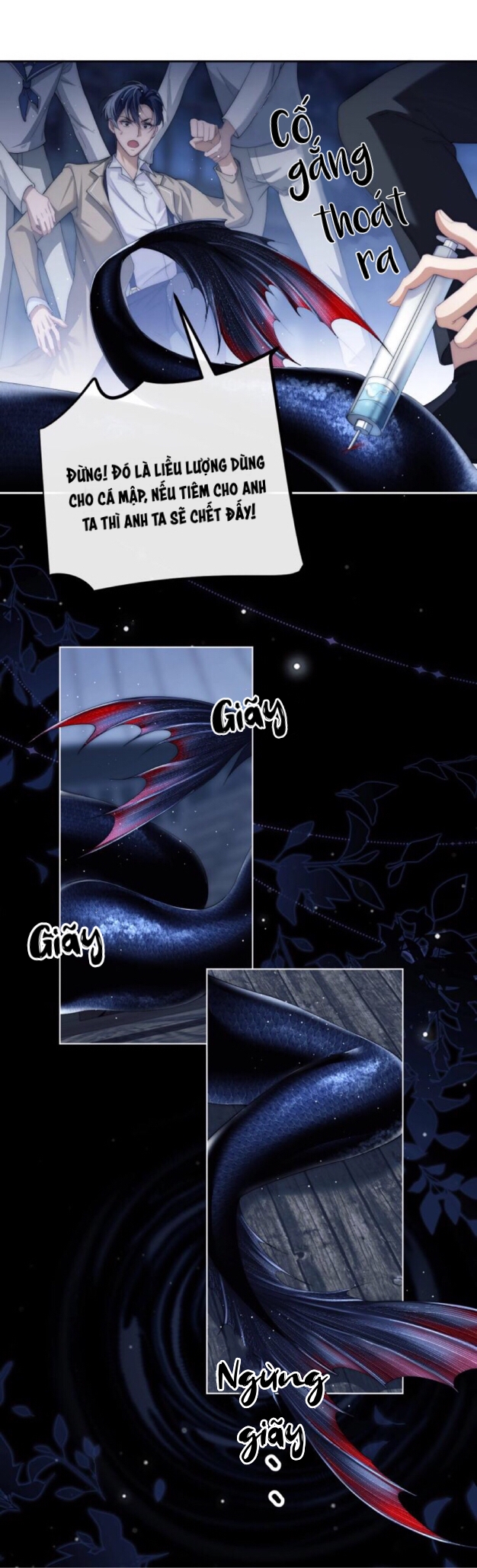 nhân ngư dessaro chapter 2 4