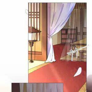 sủng phi của vương chapter 142 14