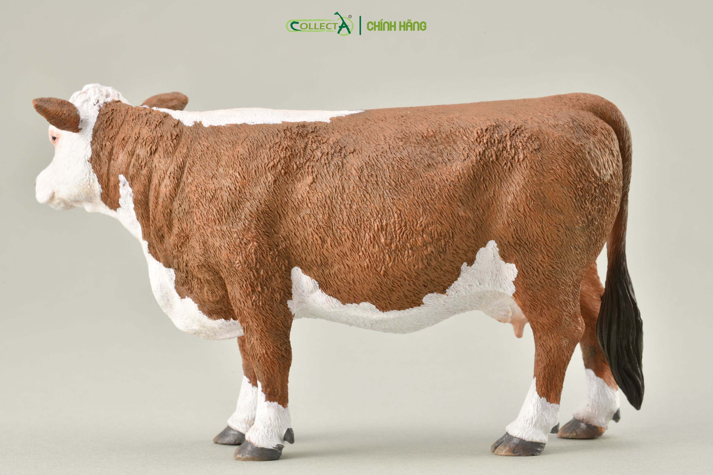 Mô hình thu nhỏ: Bò Hereford mẹ  - Hereford Cow  , hiệu: CollectA, mã HS 9650190[88860] -  Chất liệu an toàn cho trẻ - Hàng chính hãng