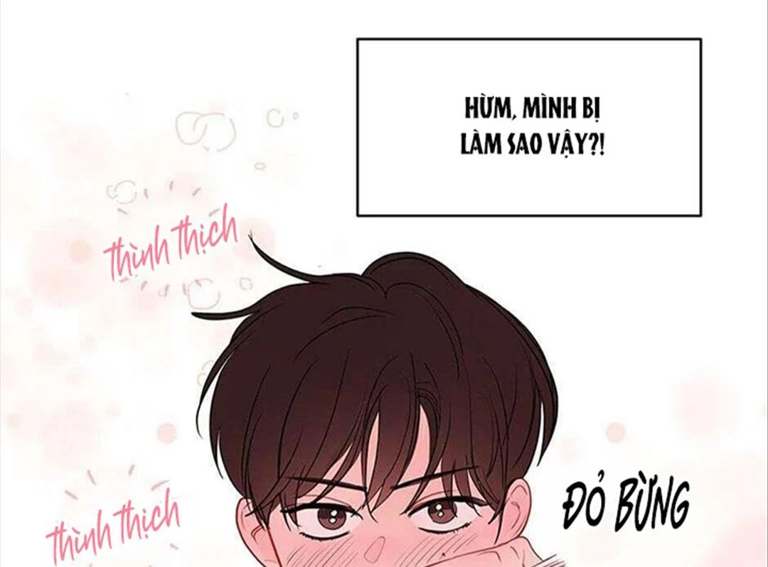 chuyện quái gì với giấc mơ đó vậy chapter 30 4