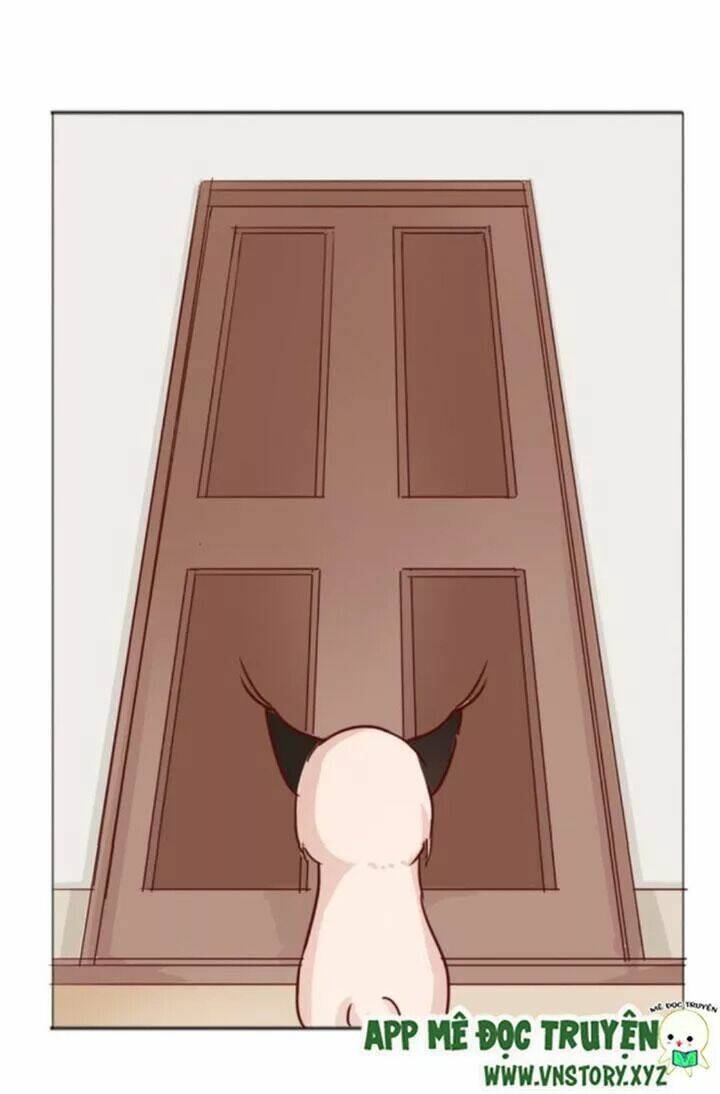 hồ tiên này không tin được chapter 15 8