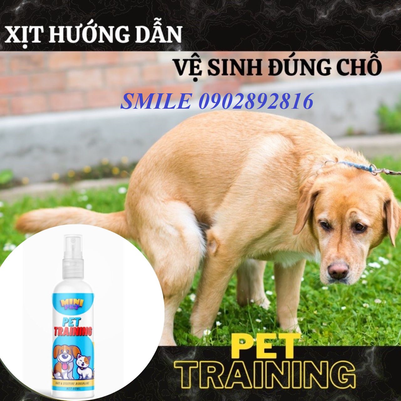 [MỚI VỀ] Dung Dịch Xịt Hướng Dẫn Chó Mèo Đi Vệ Sinh Đúng Chỗ ( 60ml )