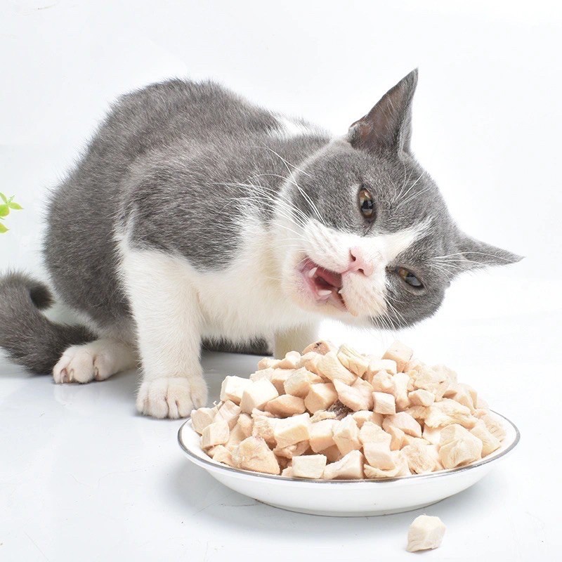 Thịt sấy khô, Topping Tổng Hợp cho chó mèo , Hỗ trợ chế độ ăn uống tăng cân cho boss 