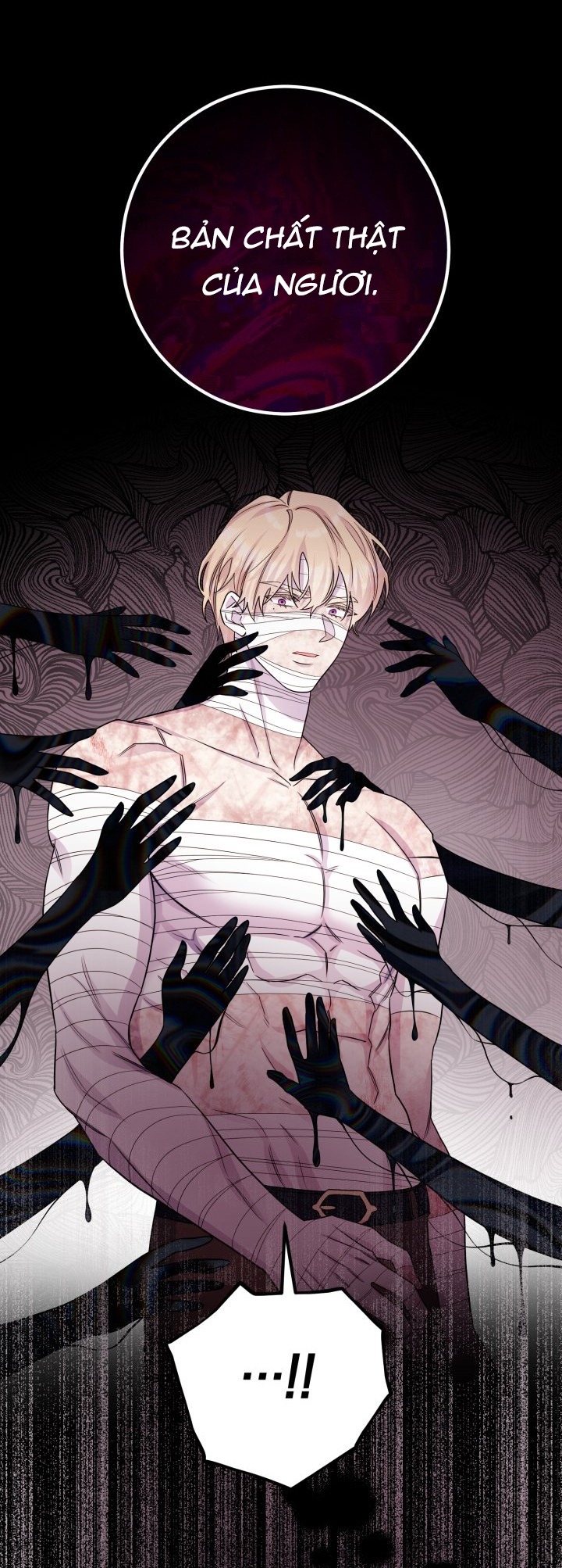 [18+] nếu cứu rỗi một cầm thú hư hỏng chapter 27.2 17