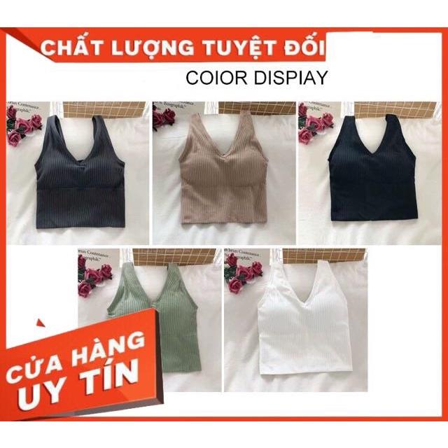 Áo Lót Nữ Bra Tập Gym Thể Thao Len Tăm Hàn Kết Hợp Với Vest Khoác Ngoài Thanh Lịch V90