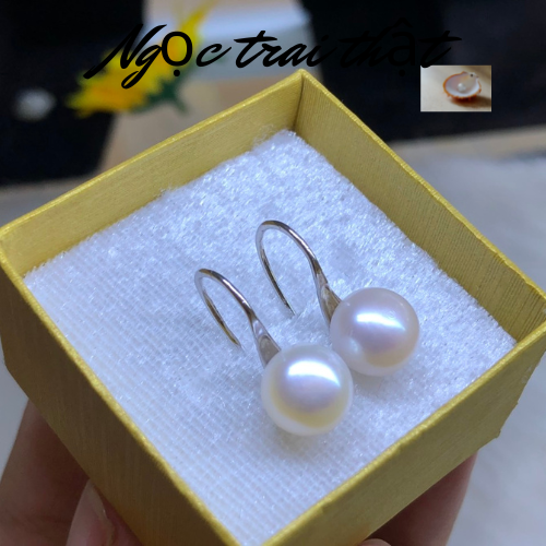 Hoa Tai Ngọc Trai Thật Kiểu Móc Màu Trắng