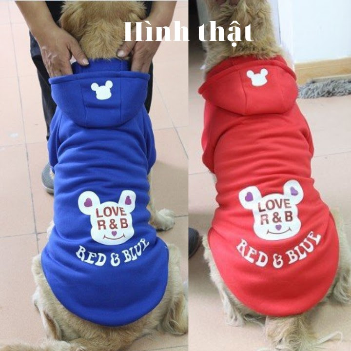 ÁO HOODIE CHO CHÓ RED AND BULL DÀNH CHO CHÓ LỚN - SP000604