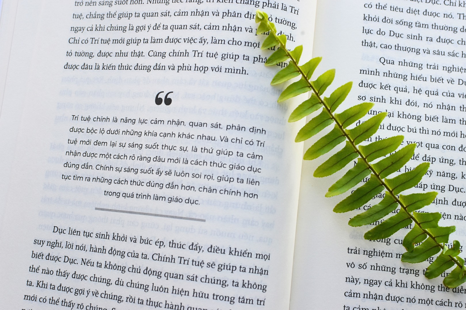 Bộ sách TẦM NHÌN KHAI PHÓNG (3 cuốn, bìa cứng) kèm hộp: TẦM NHÌN GIÁO DỤC + LỘ TRÌNH KHAI PHÓNG + BẢN CHẤT CON NGƯỜI - Tác giả: Trần Thế Công