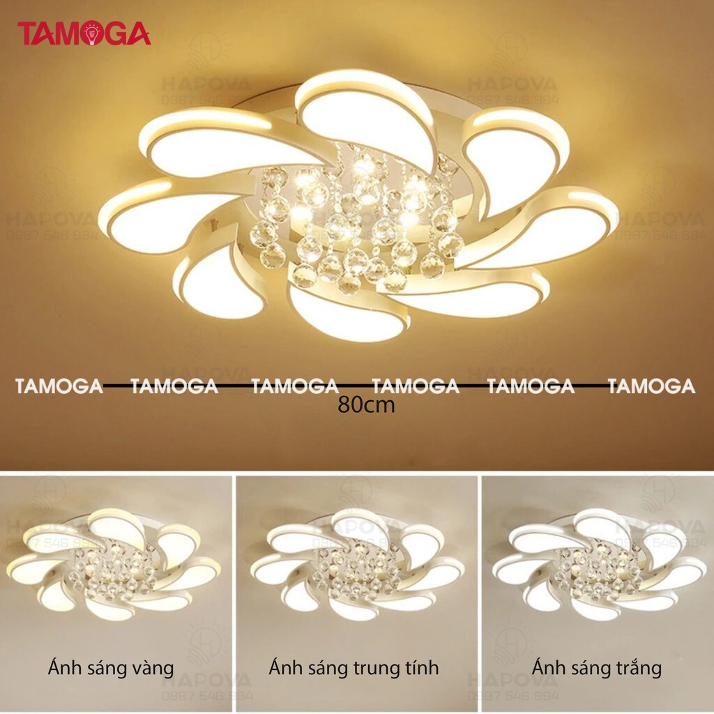 Đèn ốp trần phòng khách 5 cánh TAMOGA XANIA 0905