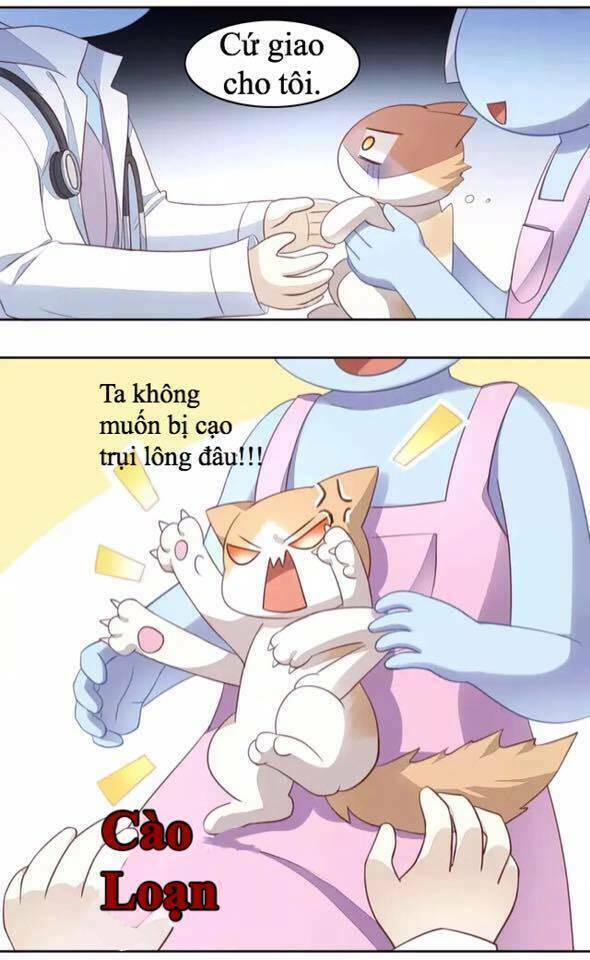 thị hoang chi thần chapter 17 33