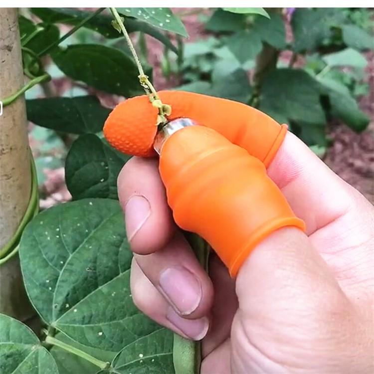 Bộ Móng Nhặt Rau Củ Quả Chống Bẩn Móng Tay, Ngón Cái Bấm Cắt Rau Củ - Nạo Gọt Tiện Lợi - DumiStore