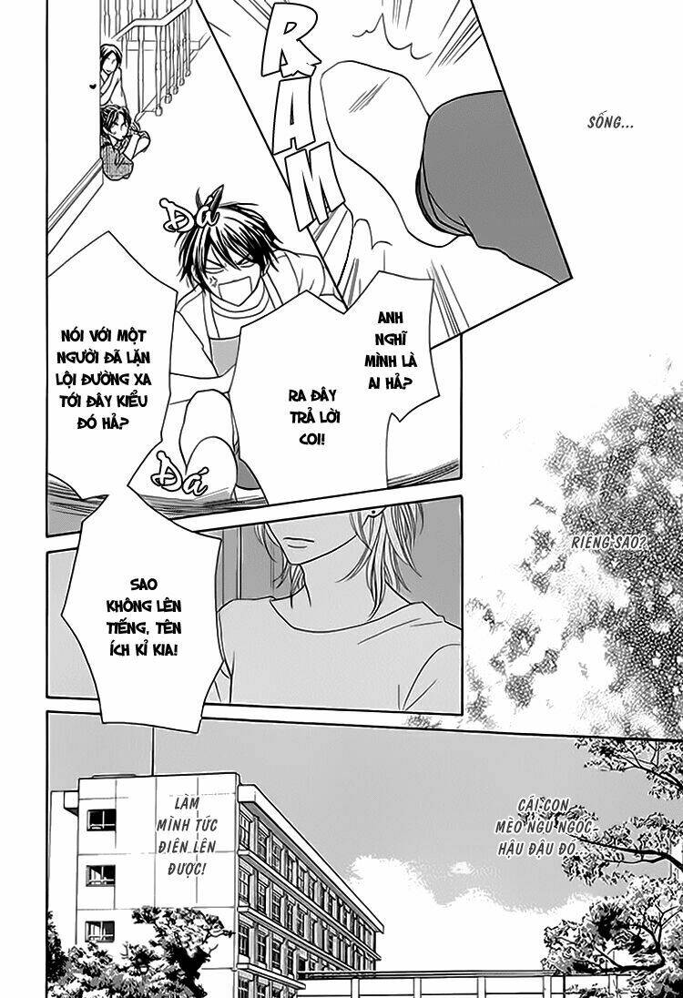 nekoka danshi no shitsukekata chapter 5 33