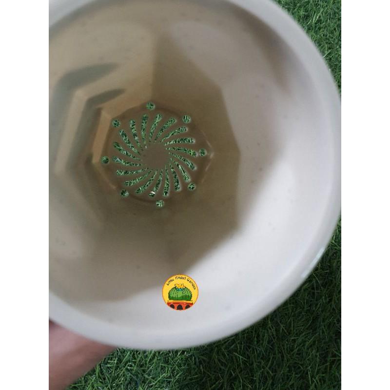 Chậu nhựa giả sứ kích thước 9 * 10.6cm, thích hợp trồng sen đá, xương rồng, haworthia